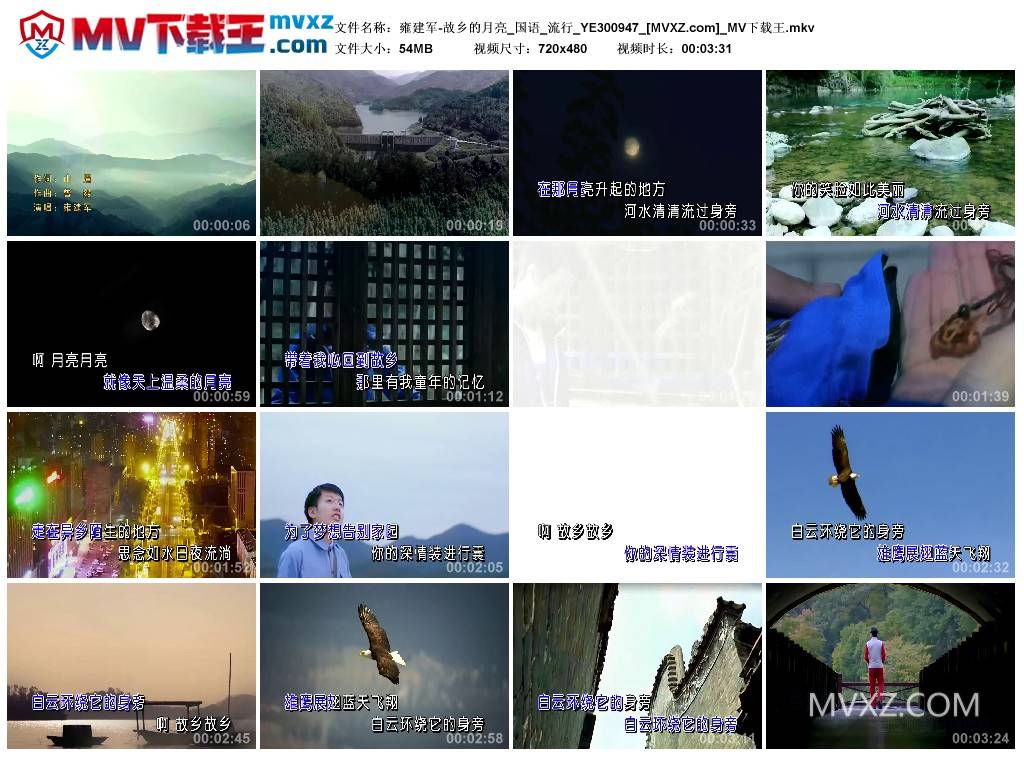 雍建军-故乡的月亮_国语_流行_YE300947